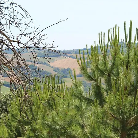 Bed & Breakfast Angela Garden Servigliano